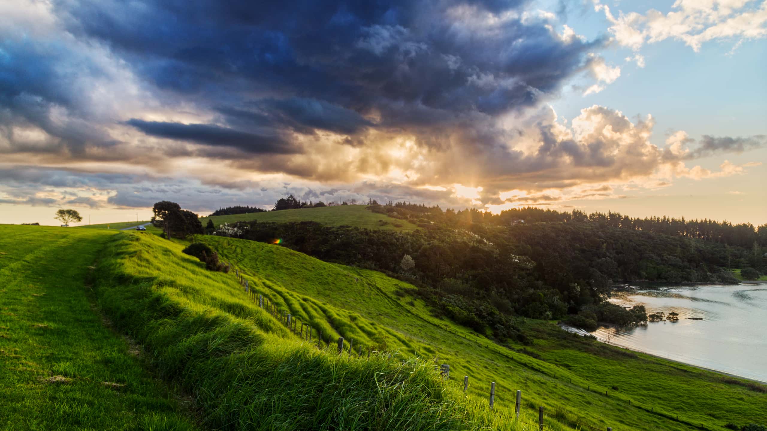 Günstige Flüge von Wellington nach Waitangi ab 274 €