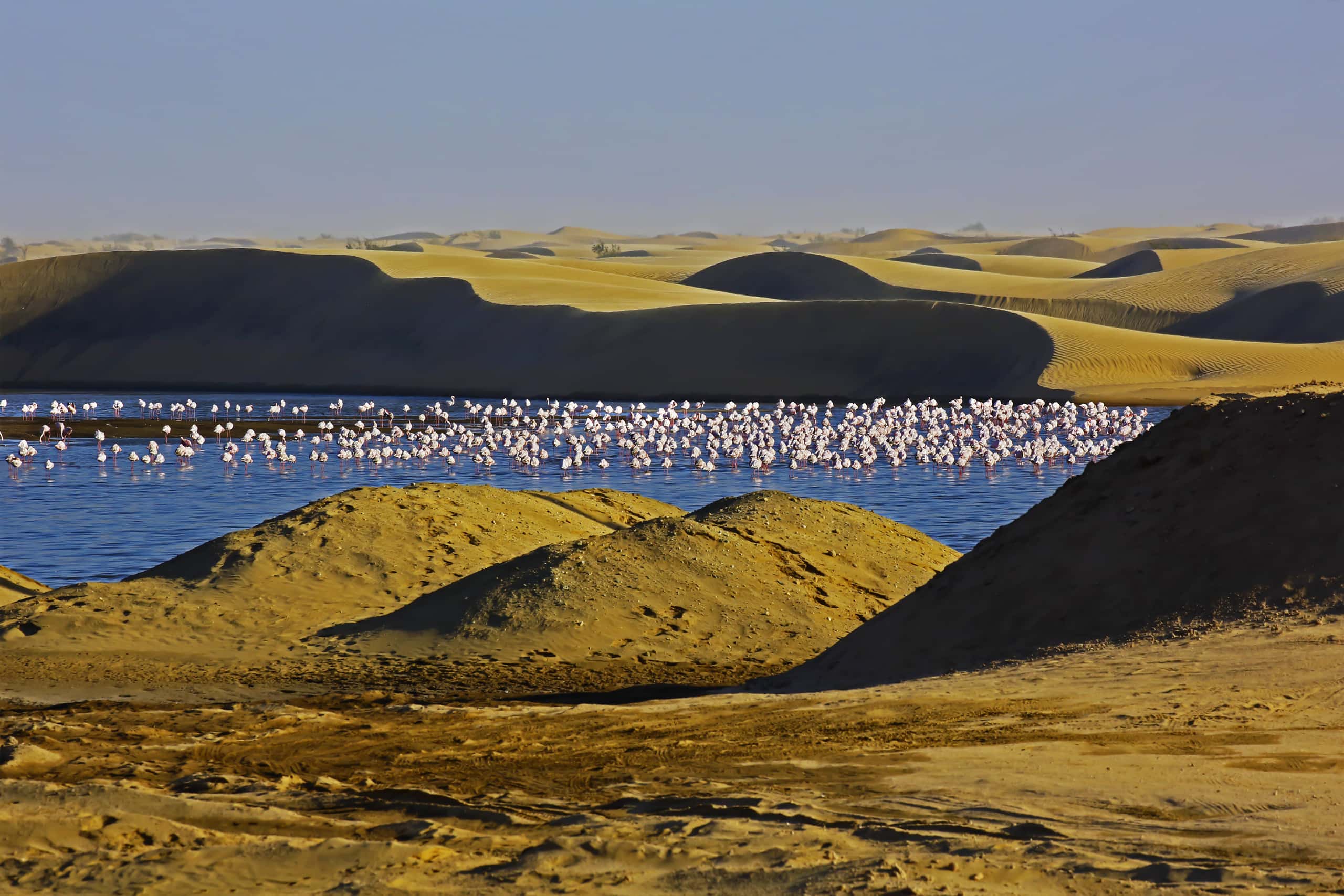 Cheap flights from Cape Town to Walvis Bay from $163