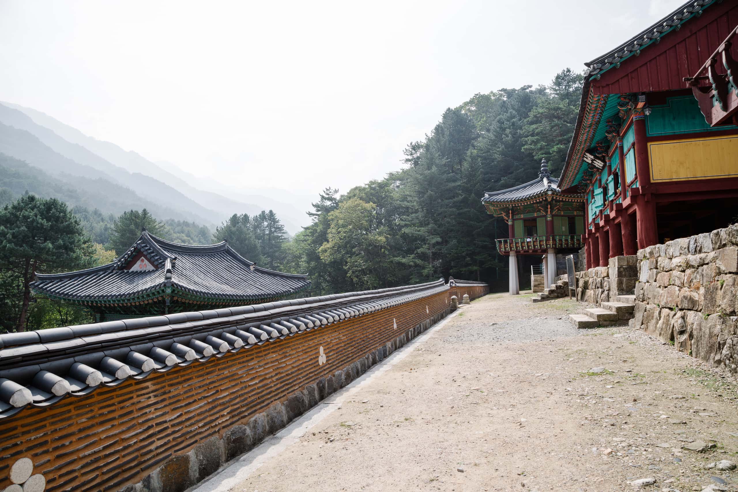 제주 출발 원주 도착 최저가 항공권 ¥6,712부터