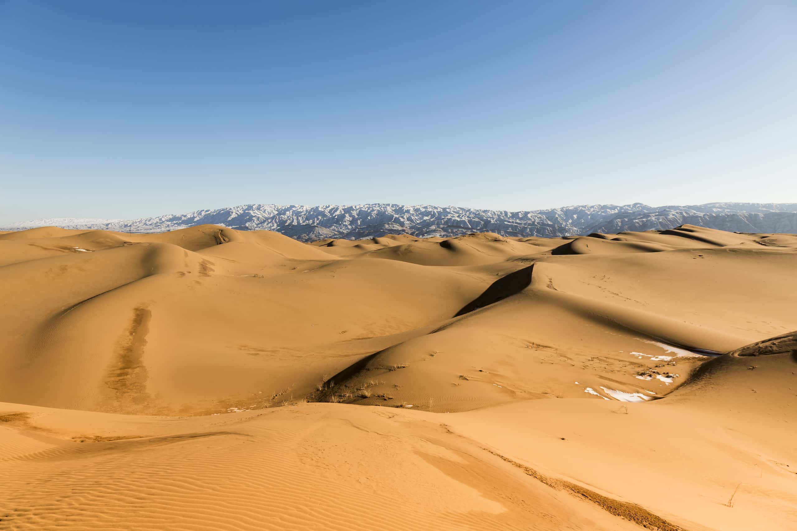 Cheap flights from Shanghai to Zhongwei from 