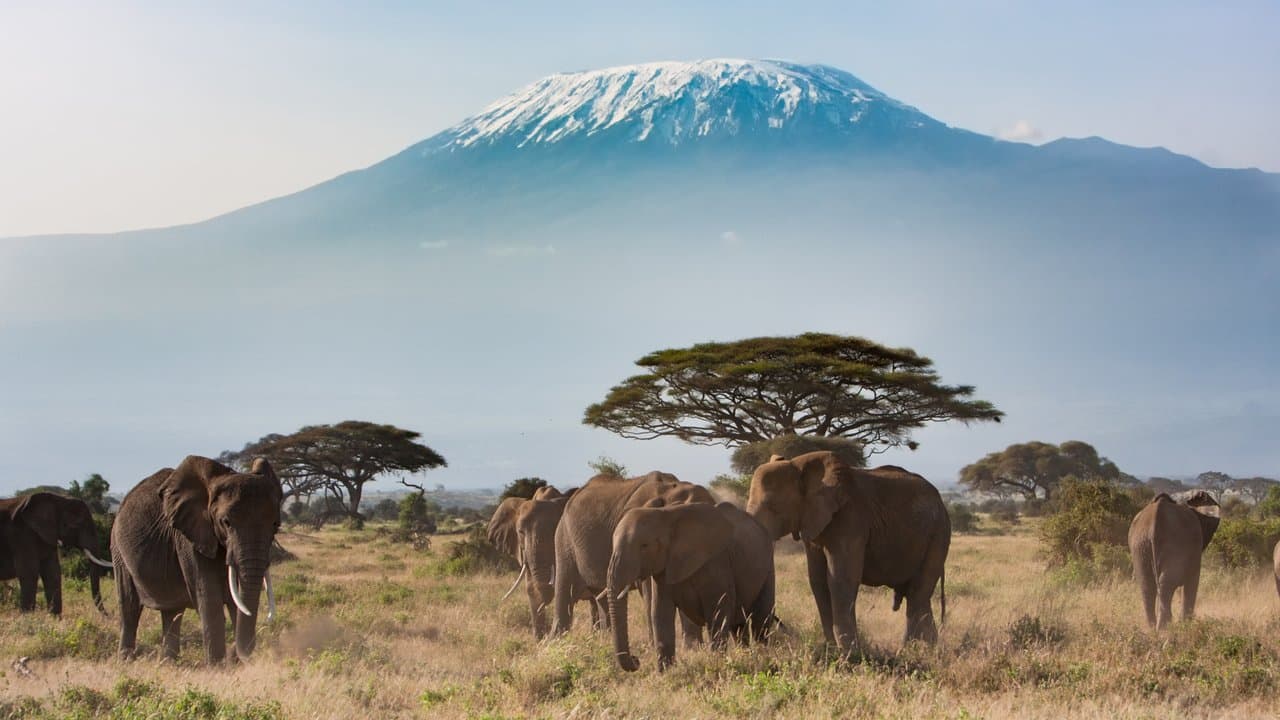 Amboseli National Park, Kenya