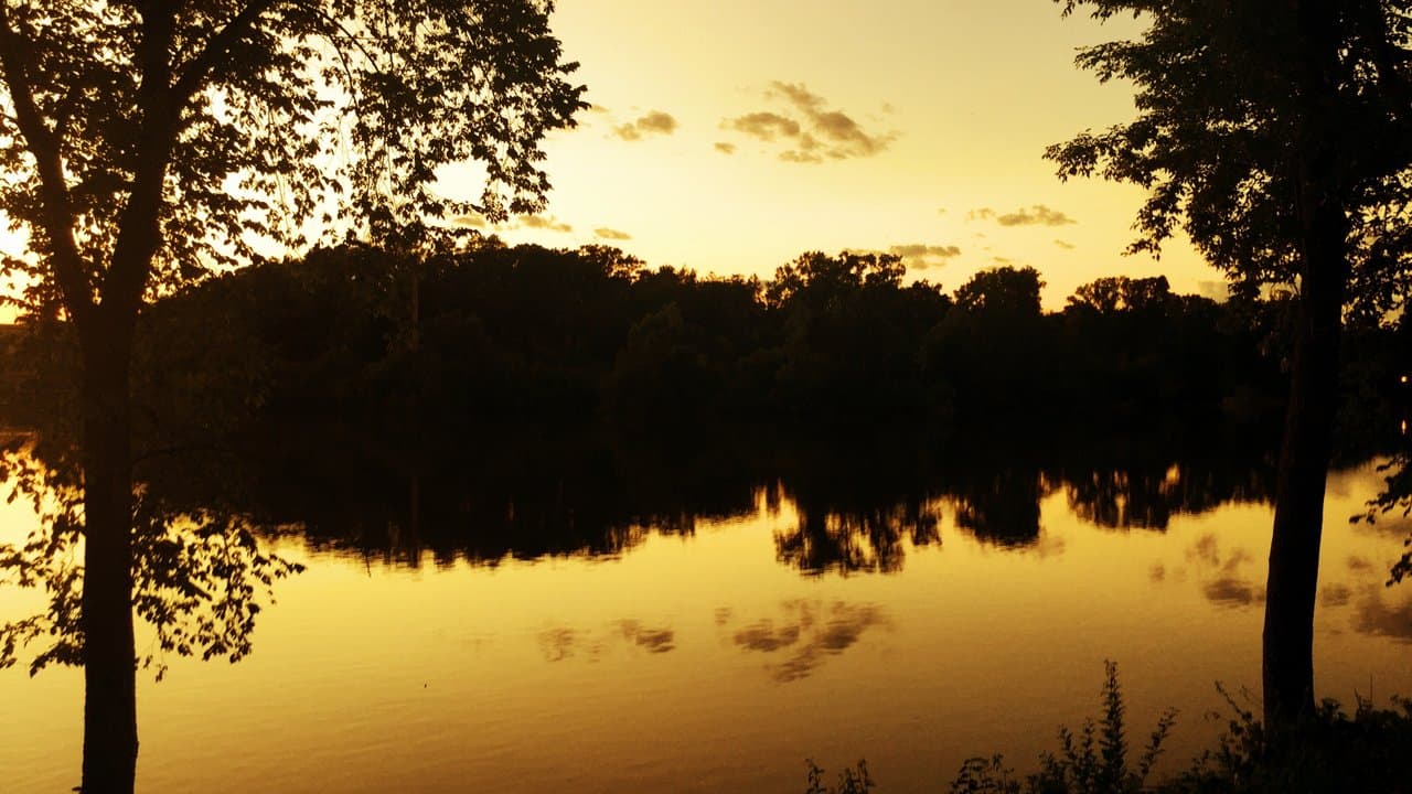 阿普爾頓, 美國