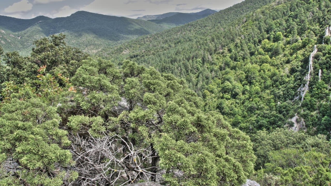 Arar, Savdska Arabija