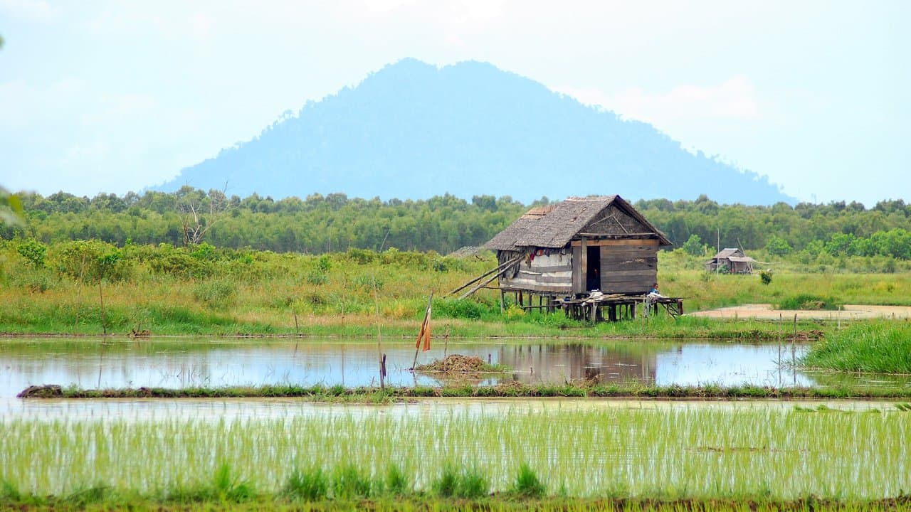 Batulicin, Indonesia