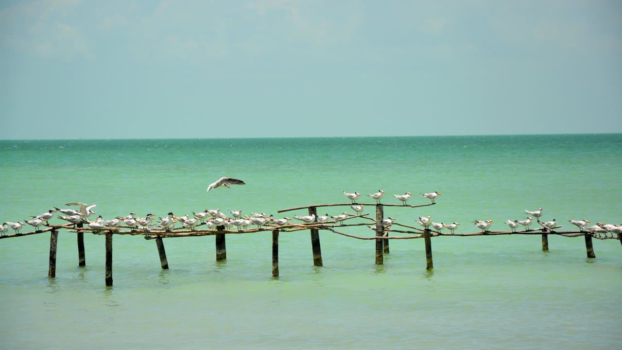 Corozal, Sucre, Kolumbija