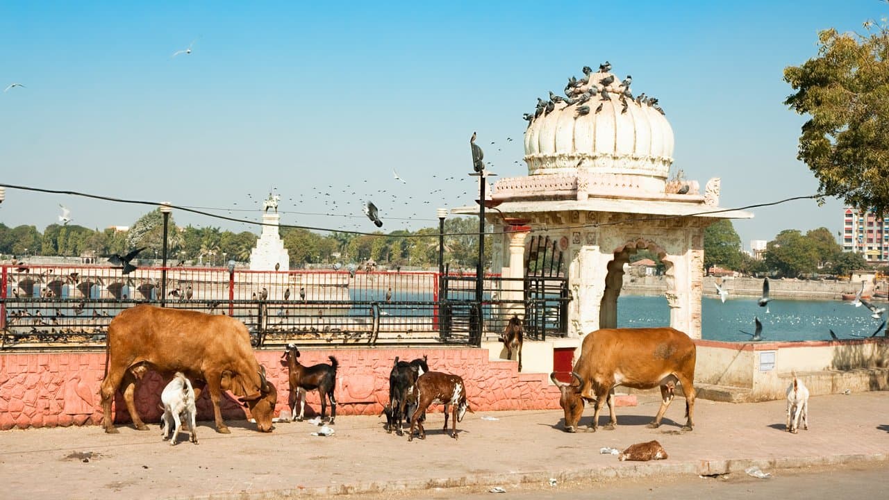 Jamnagar, Inde