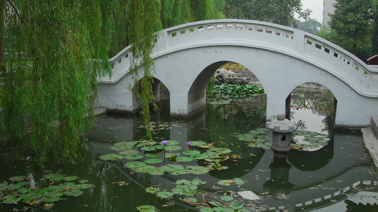Lin-i, Čína