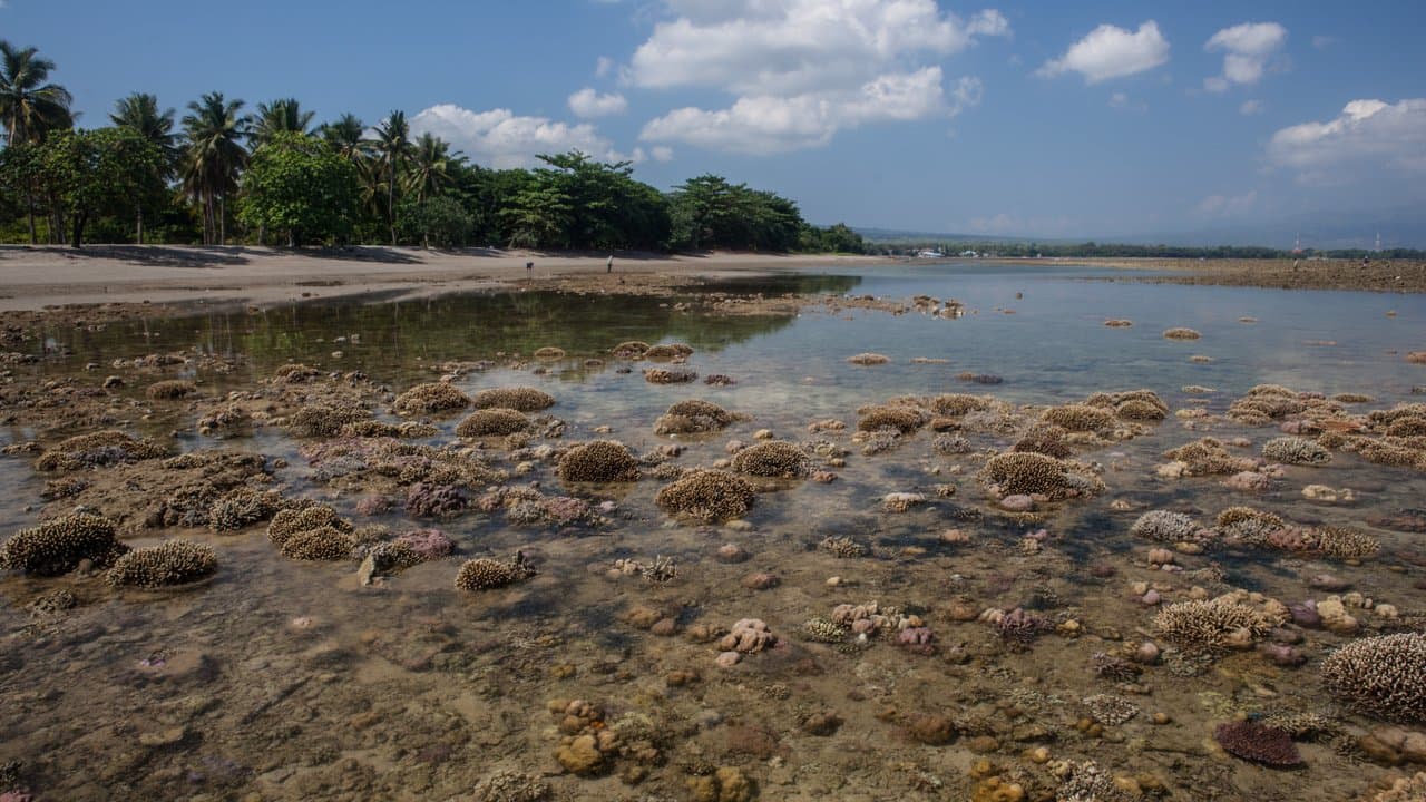 Maumere, Indoneesia