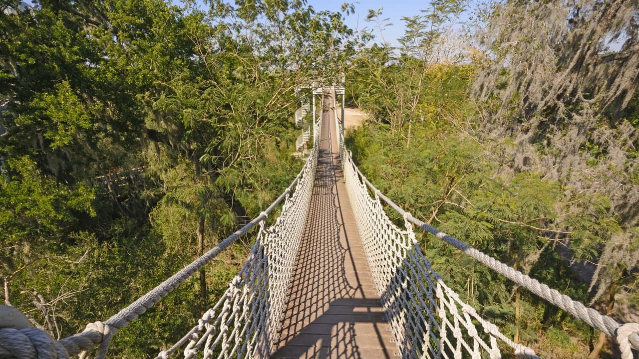 McAllen, Sjedinjene Američke Države