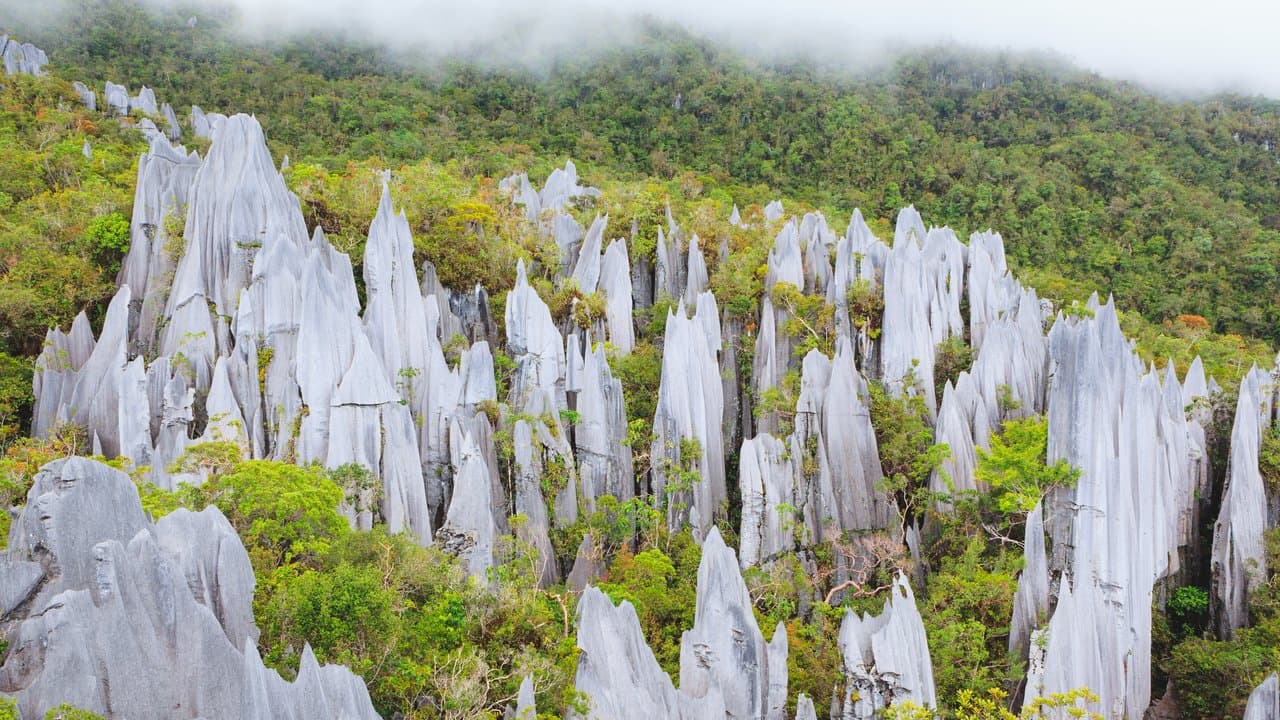 Gunung Mulu National Park, Malaisie