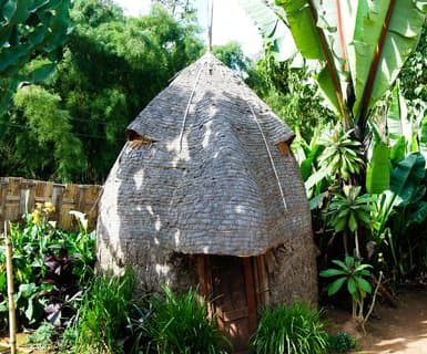 Port lotniczy Arba Myncz