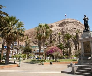 Arica