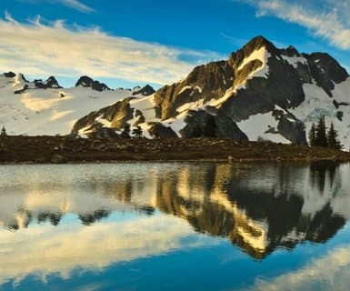 Bellingham International