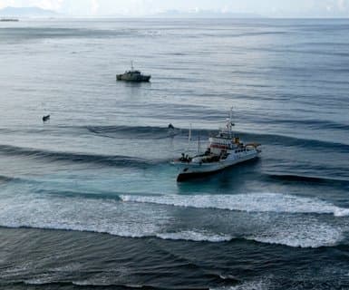 Port lotniczy Bellona/Anua