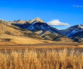 Bozeman