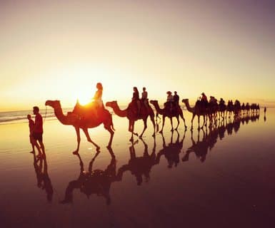 Broome International