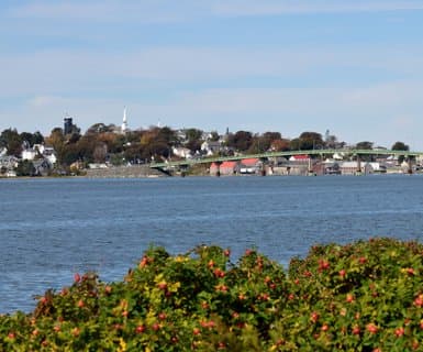 Brunswick Golden Isles