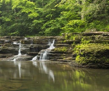 밴쿠버, 캐나다