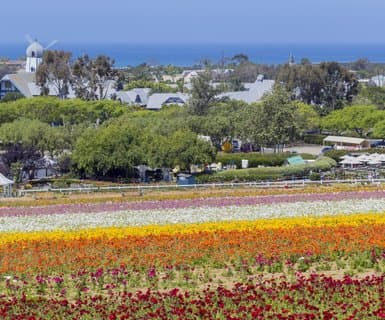 Albuquerque, United States