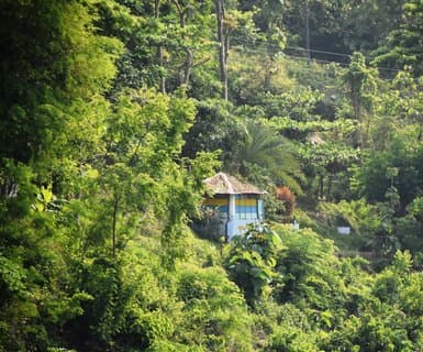 Shah Amanat International