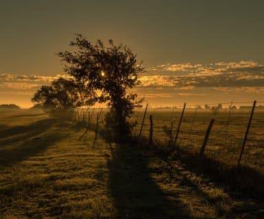 Aeroporto municipale di Clovis