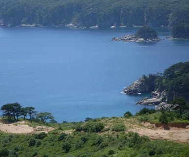 コールド・ベイ