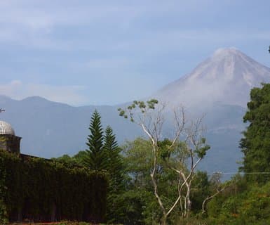 Colima
