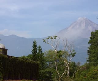 Colima