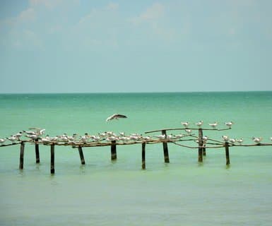 Aérodrome de Corozal