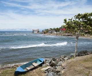 Aéroport de Coxen Hole