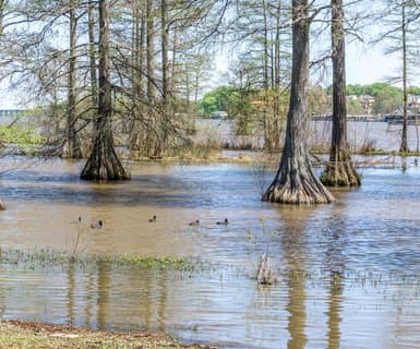 Cross Lake (Charlie Sinclair Memorial)
