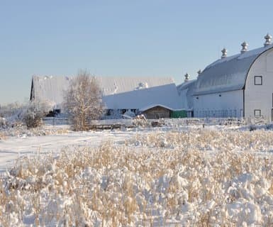 Fairbanks International