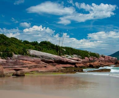 Kierunek: Florianópolis