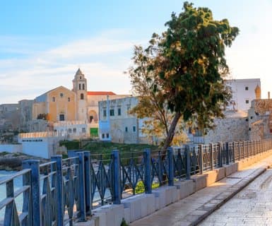 Port lotniczy Foggia