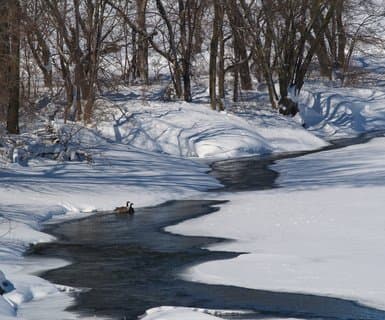 Regionalny port lotniczy Fort Dodge