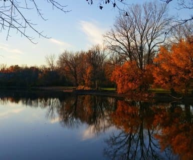 Fort Wayne International