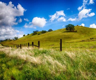 לאס וגאס, ארצות הברית