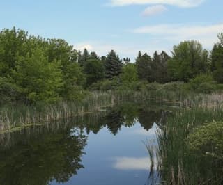 غراند فوركس