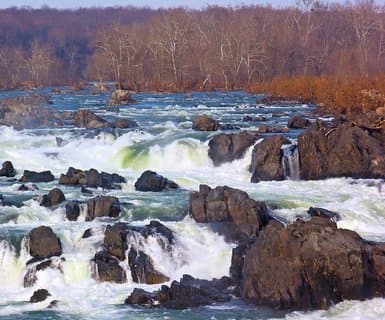 Great Falls International