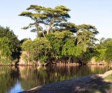  ,  - Grumeti Game Reserve