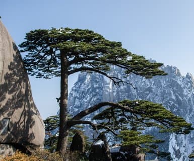 גואנגג'ואו, סין