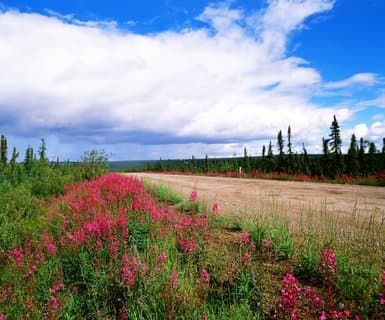 Inuvik (Mike Zubko)