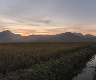 Joinville-Lauro Carneiro de Loyola