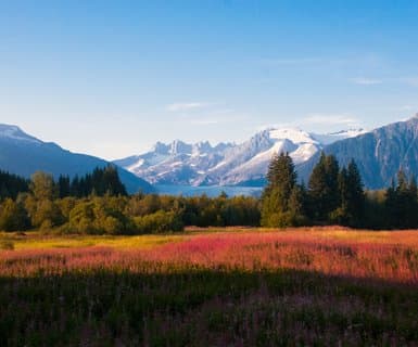 Juneau International