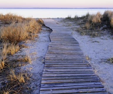 Mallam Aminu Kano International