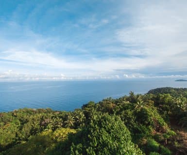 반자르마신, 인도네시아