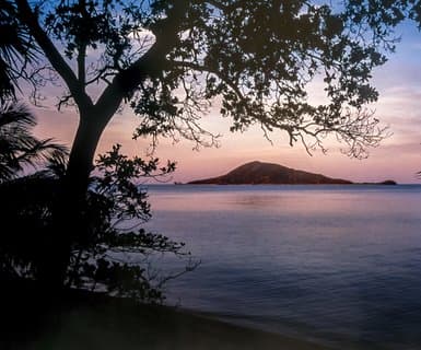 Golosón International