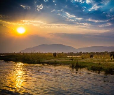 Lower Zambezi Nat.Park Jeki