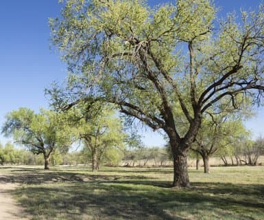 Santa Marta, Colombia