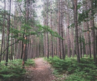 Manistee County Blacker